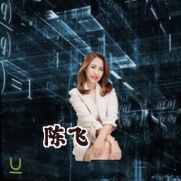 陈飞